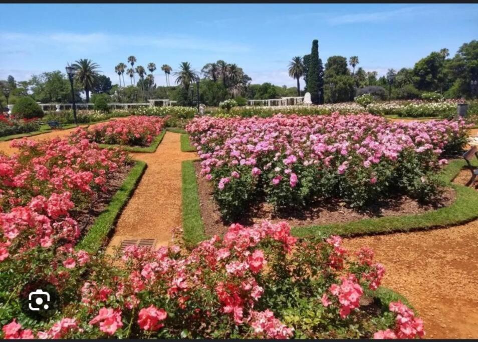 Palermo Nuevo Excelente Buenos Aires